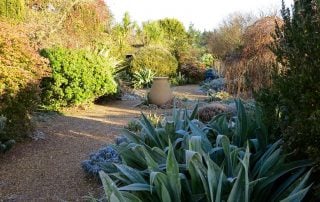 Circle in the Walled Garden -- Before