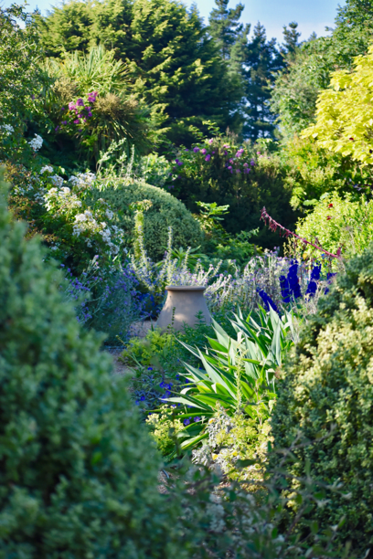 Spend a day learning the basics of garden design.