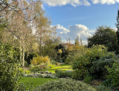 Denmans Garden named regional winner for the South East and Channel Islands in the RHS Partner Garden of the Year Competition