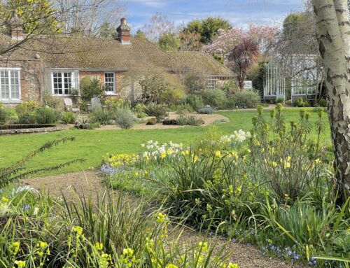 Denmans Garden and its half-century relationship  with the National Garden Scheme