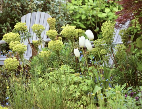 Are we your RHS Partner Garden of the Year 2023?