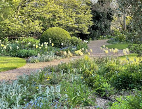 Denmans Garden five years on…