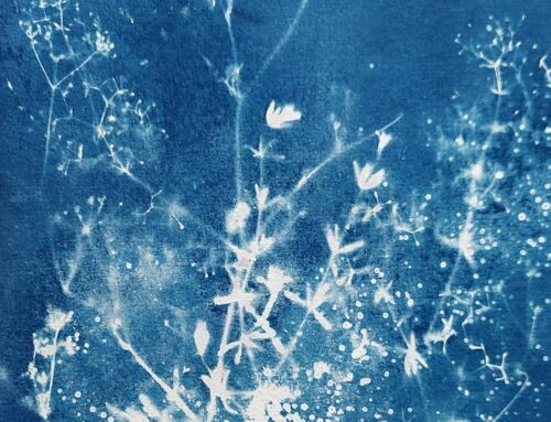 Jo Dowers, Denmans Artist-in-Residence:  Summer into Autumn