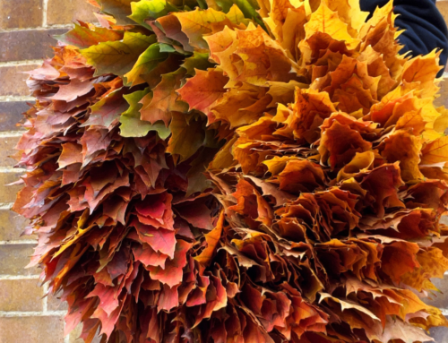 Meet the Maker:  Anita Li, of Floral Art & Design