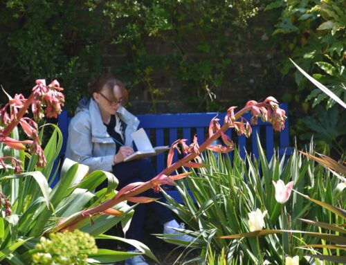 Jo Dowers reflects:  ‘A Sussex Garden – Reflections of an Artist’s Year at Denmans’