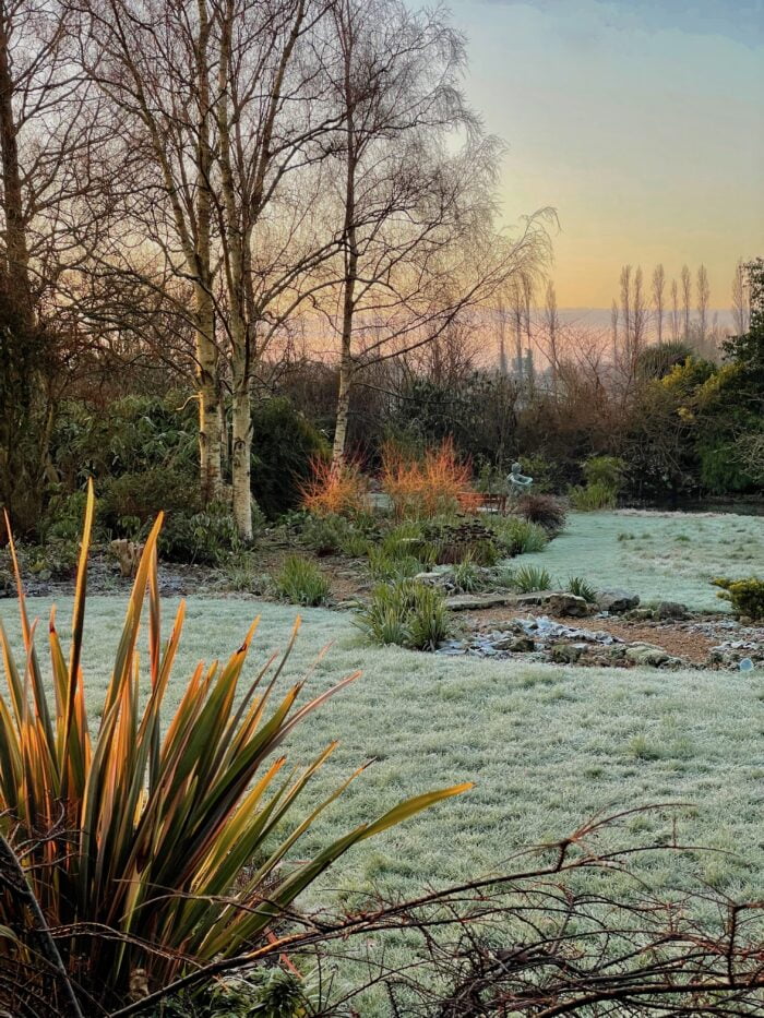 A Winter Stroll Through Denmans Garden December 2025