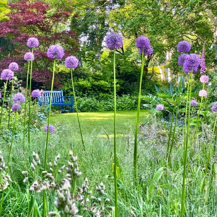 Summer Solstice Celebration Evening at Denmans Garden 2025
