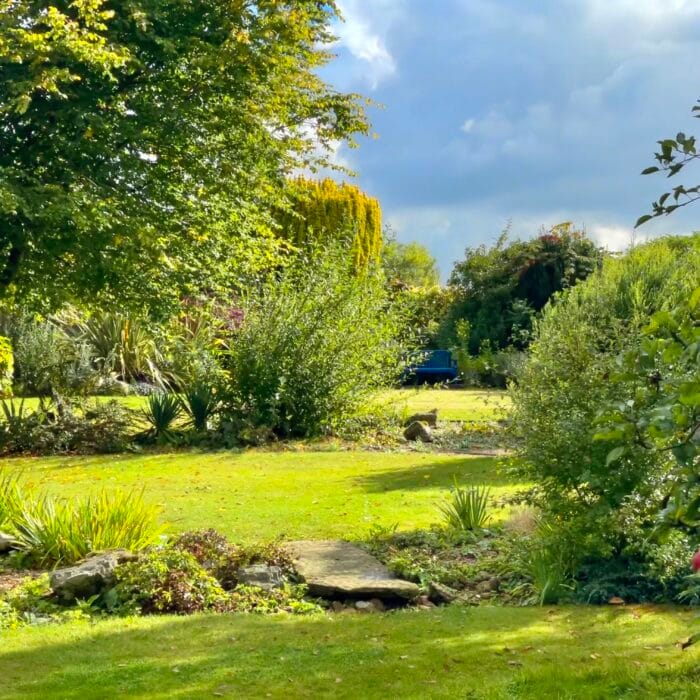 An Autumn Stroll Through Denmans Garden September 2025