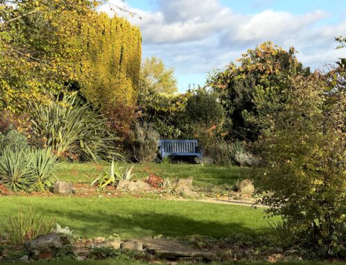 November 2025 Newsletter