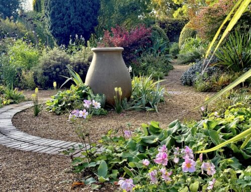 November 2025 Newsletter