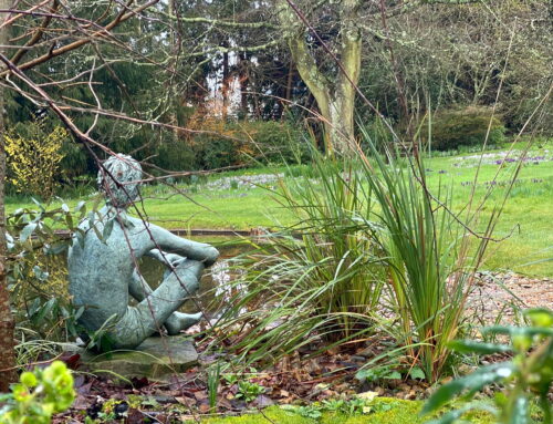 The February 2026 news from Denmans Garden