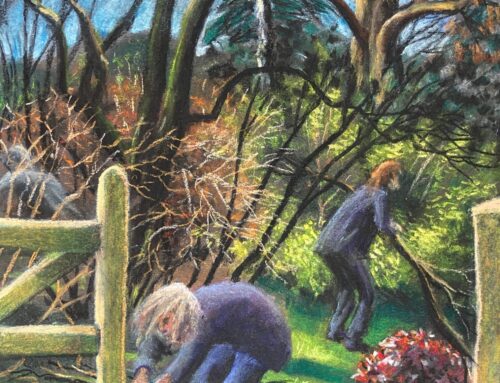 Escaping into Art: Reflections on Oscar Romp’s Residency at Denmans Garden