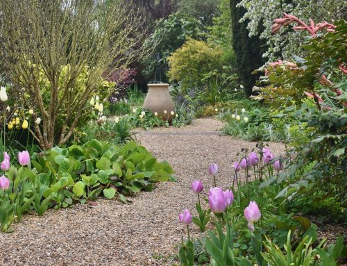 The news from Denmans Garden, April 2026