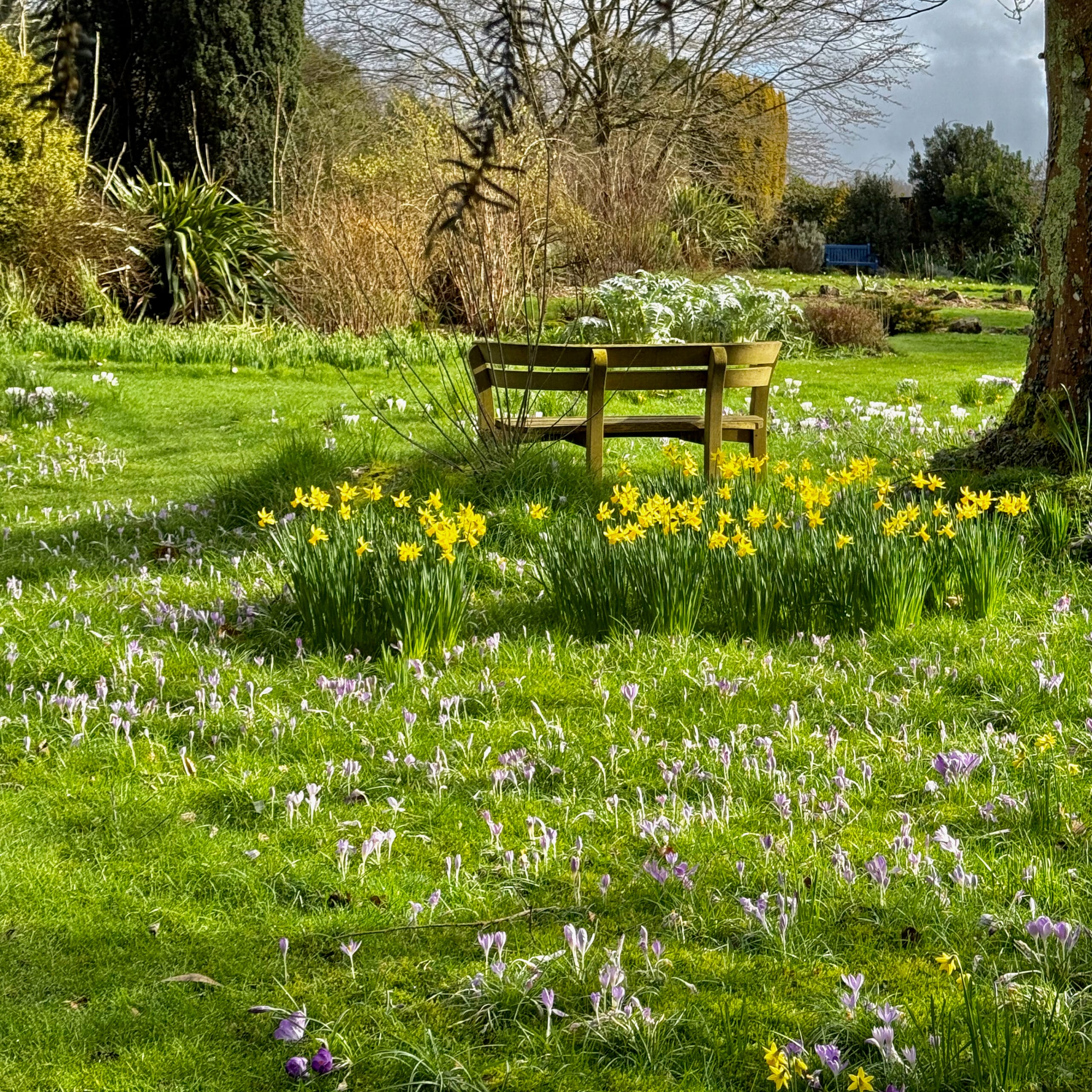 22nd February 2027 NGS Day
